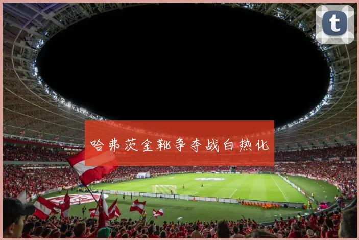 哈弗茨金靴争夺战白热化