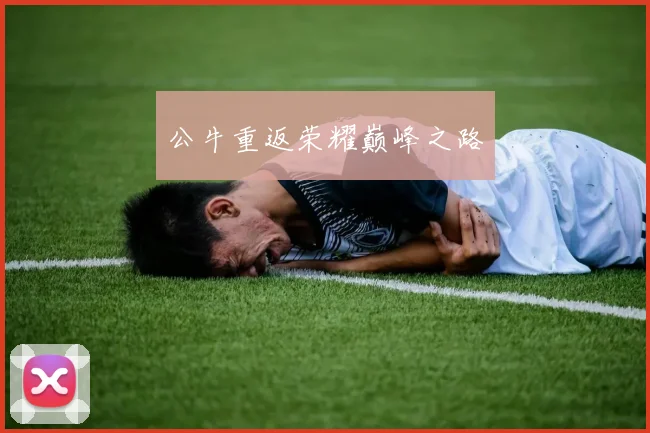 公牛重返荣耀巅峰之路