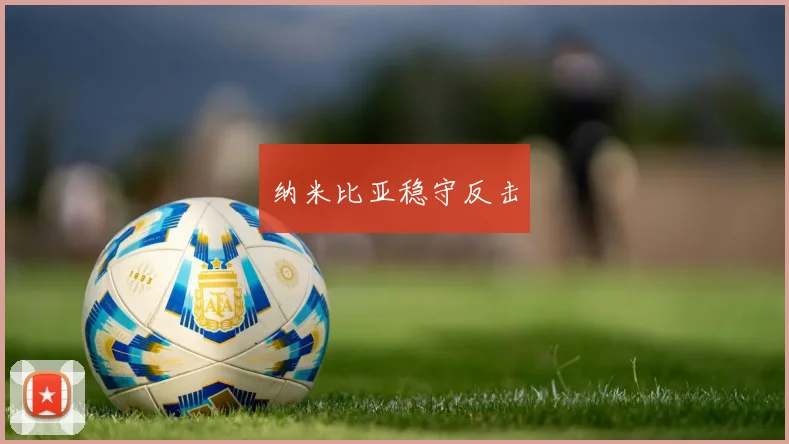 纳米比亚稳守反击