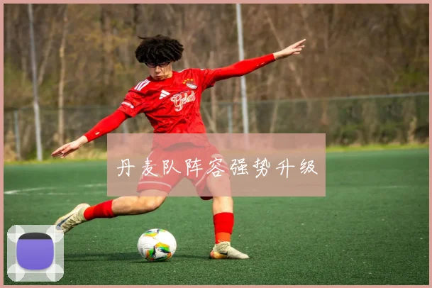 丹麦队阵容强势升级