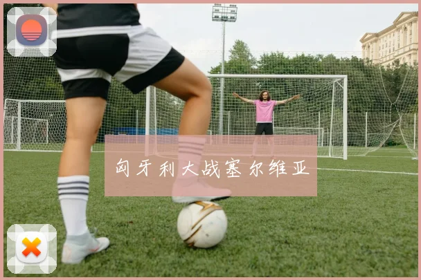 匈牙利大战塞尔维亚