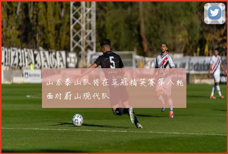 山东泰山队将在亚冠精英赛第八轮面对蔚山现代队