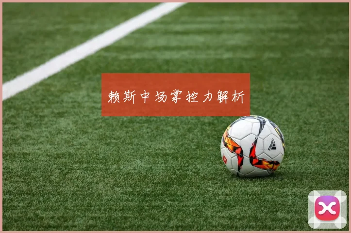 赖斯中场掌控力解析