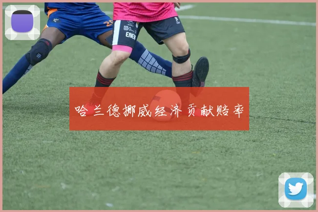 哈兰德挪威经济贡献赔率