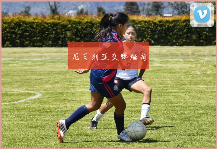 尼日利亚交锋缅甸