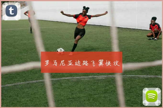 罗马尼亚边路飞翼快攻
