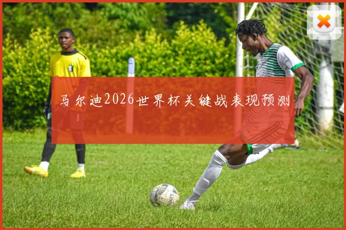 马尔迪2026世界杯关键战表现预测