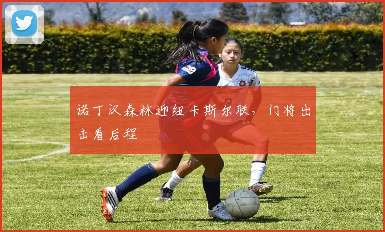 诺丁汉森林迎纽卡斯尔联,门将出击看后程