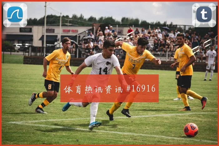 6月24日波黑卡塔尔赛前比分指南